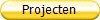 Projecten